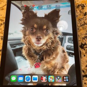 iPad 5th gen